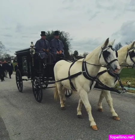 Logan Brickhouse OnlyFans Thumbnail #mmSHCtJVTC