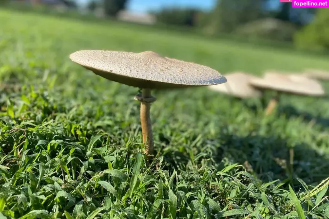 Logsterbunny OnlyFans Thumbnail #2nyrX0qj9C