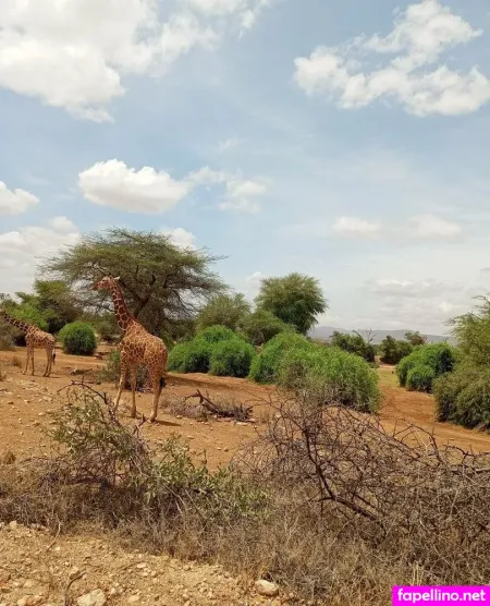 Lolasweetpussy OnlyFans Thumbnail #GUDaQ8ufmz