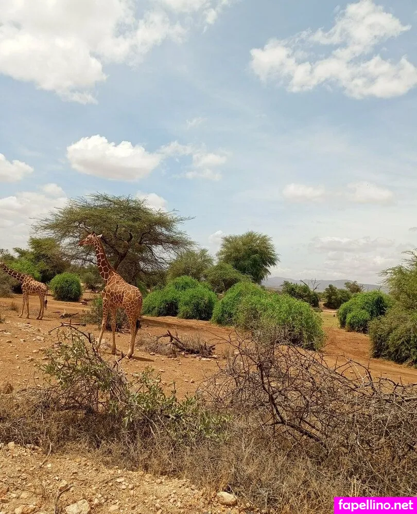 lolasweetpussy Nude Leaked OnlyFans Photo #GUDaQ8ufmz