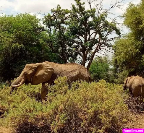 Lolasweetpussy OnlyFans Thumbnail #QJsjtRiKzR