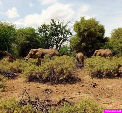 Lolasweetpussy OnlyFans Thumbnail #RwQDxqIcTW