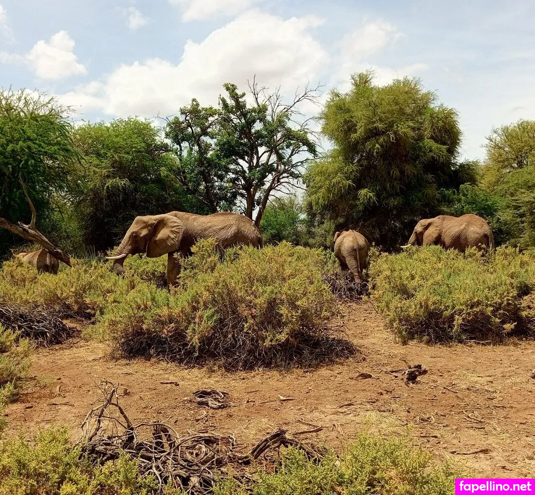 lolasweetpussy Nude Leaked OnlyFans Photo #RwQDxqIcTW