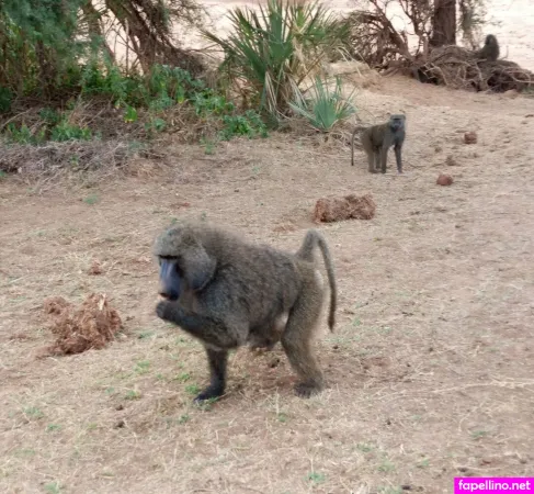 Lolasweetpussy OnlyFans Thumbnail #fLRS3yJAsH