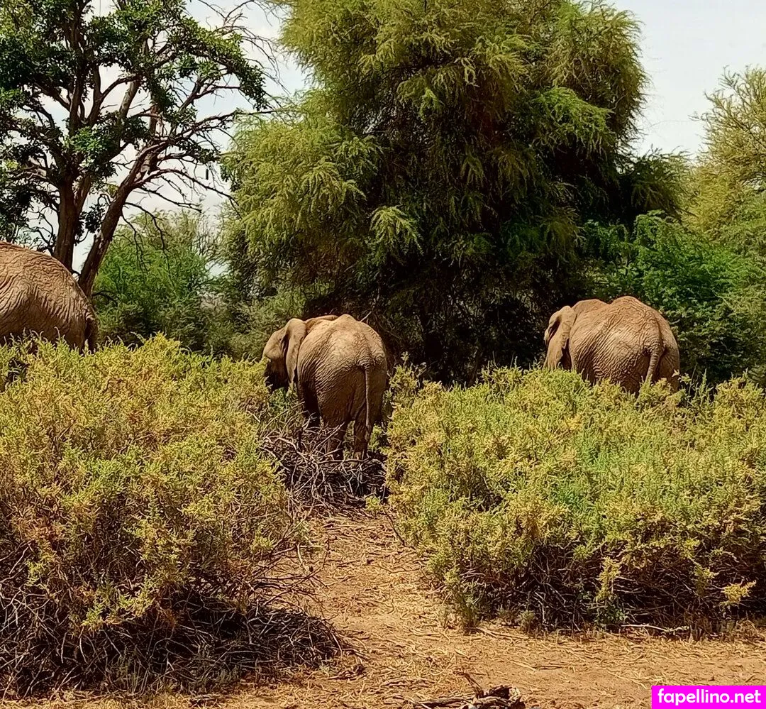 lolasweetpussy Nude Leaked OnlyFans Photo #nmFBW1syhy