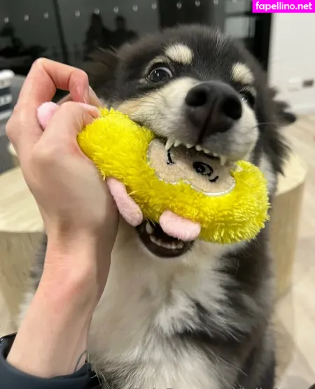 Lollyfangs OnlyFans Thumbnail #nYUrvWJ5rI