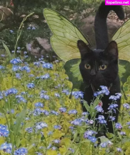 Lolykoi OnlyFans Thumbnail #YUT5uDCIsh