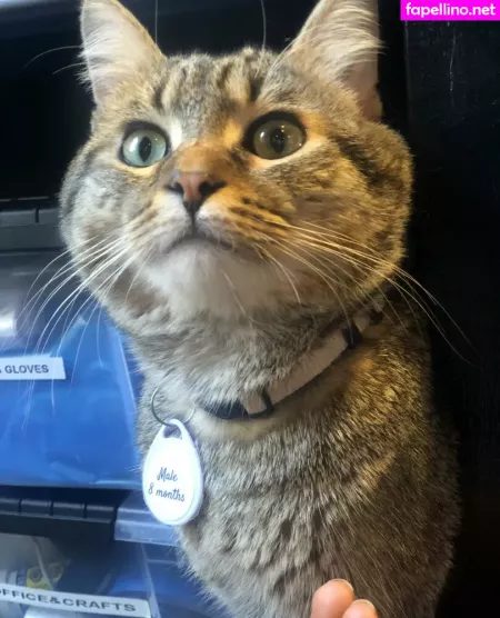 Loracr0ss OnlyFans Thumbnail #AKYHNidzwD