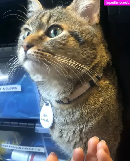 Loracr0ss OnlyFans Thumbnail #l0qZ3SaZcI