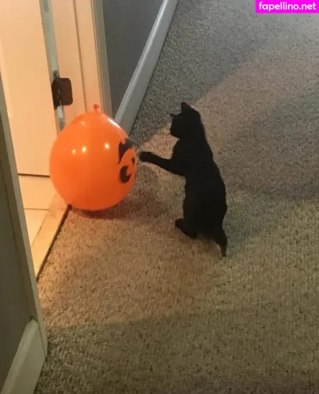 Lovebush1313 OnlyFans Thumbnail #eTjl1jA9Kk