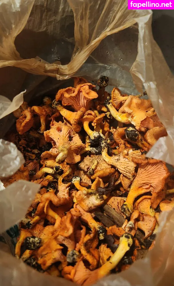 kinkycatfetish, lovebush1313 Nude Leaked OnlyFans Photo #xozbRPoFaP