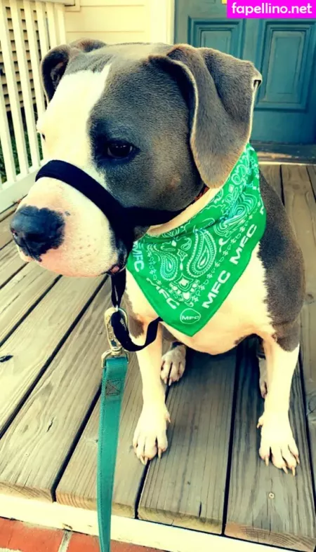 Lovesickfordick OnlyFans Thumbnail #KOG0KN8W2C