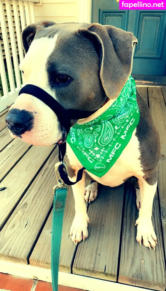 lovesickfordick Nude Leaked OnlyFans Photo #KOG0KN8W2C