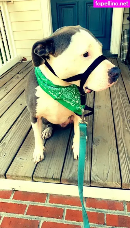 Lovesickfordick OnlyFans Thumbnail #Zinl91AXHC