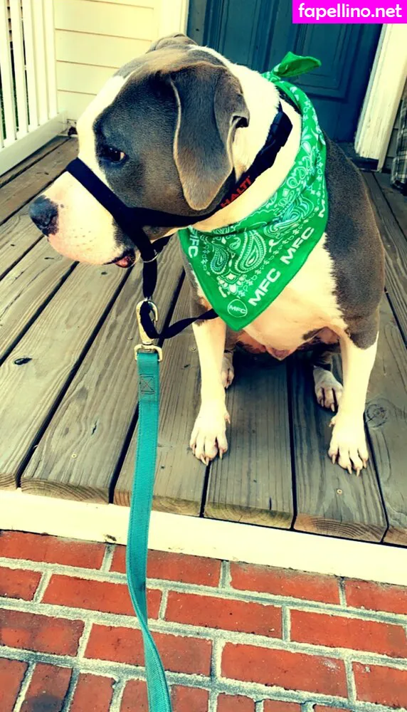 lovesickfordick Nude Leaked OnlyFans Photo #sdprK8iAWT