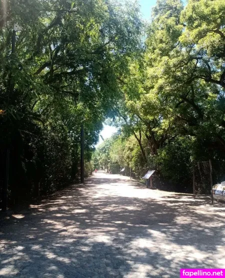 Luccawolf Main Profile Photo