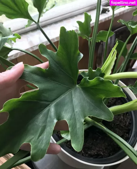 Luciendelune OnlyFans Thumbnail #pmUV9GLYLc