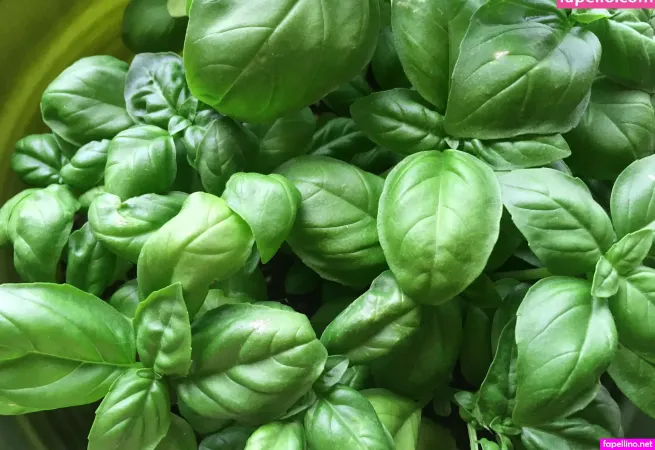 Lucylarue OnlyFans Thumbnail #WD5Ncclss6