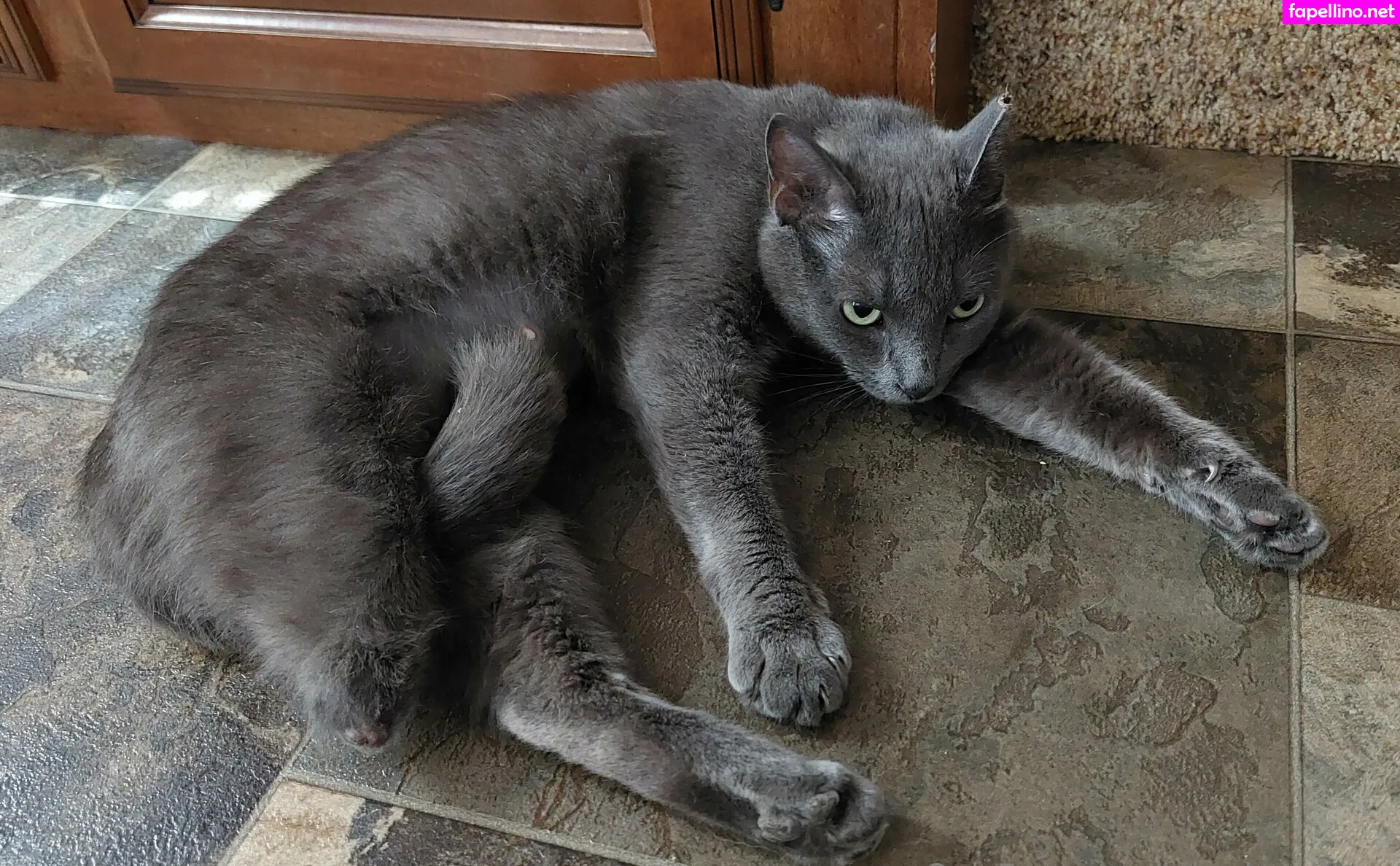 lootcharlie, lukeylewdcario Nude Leaked OnlyFans Photo #mGN2yObaKR