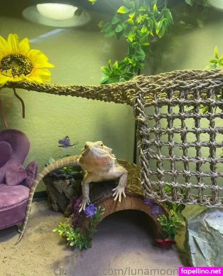 Lunamoonlightning OnlyFans Thumbnail #RJErLR38ZO