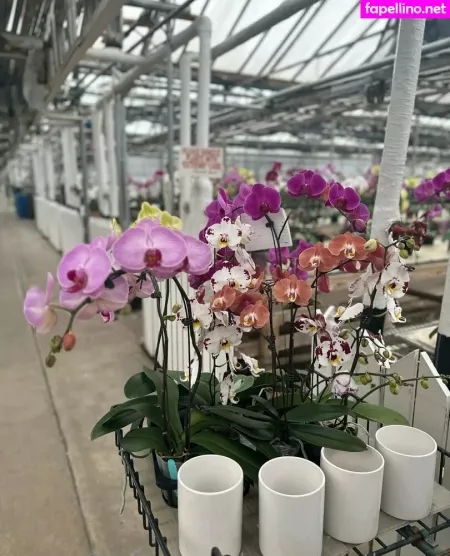 Lunapowersthefairy OnlyFans Thumbnail #DACKiqmBOh