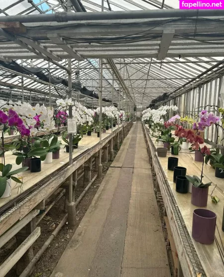 Lunapowersthefairy OnlyFans Thumbnail #aOimBEeNVJ