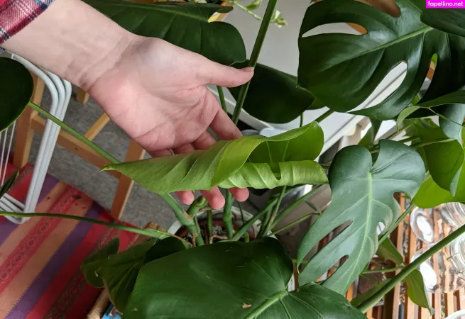 Lunarouxfree OnlyFans Thumbnail #QuQFZ21Ns0