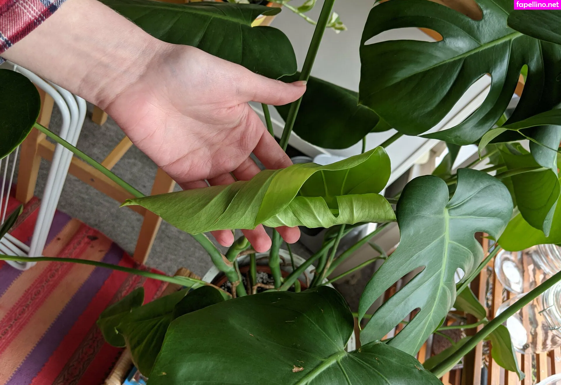 freesoul_luna, lunarouxfree Nude Leaked OnlyFans Photo #QuQFZ21Ns0