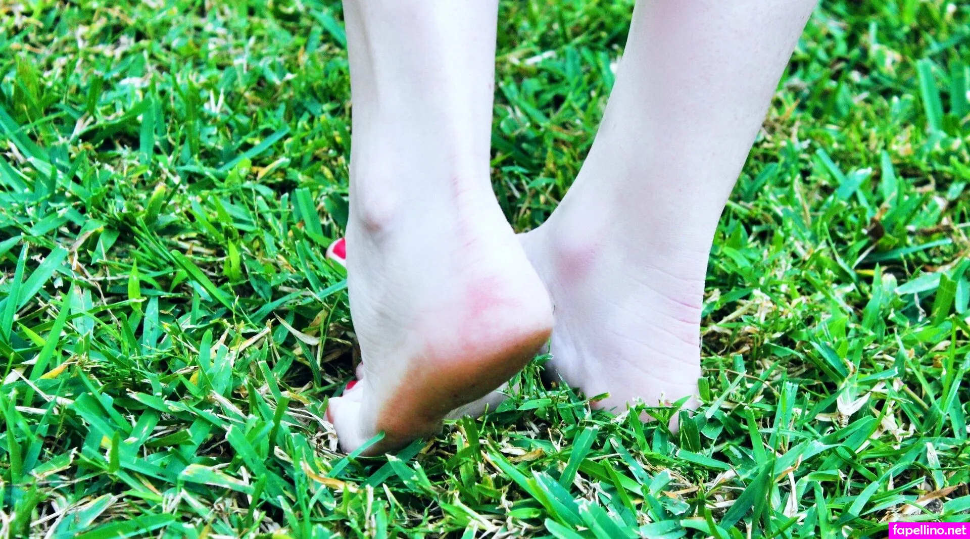 lunastonefreemium, mscantcareless Nude Leaked OnlyFans Photo #MPKz7fhMmR