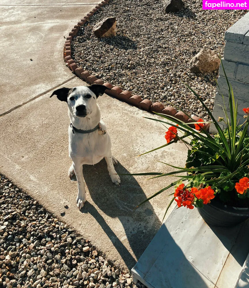 luxstonemiami, luxxxstone Nude Leaked OnlyFans Photo #RMAQgK0AXr