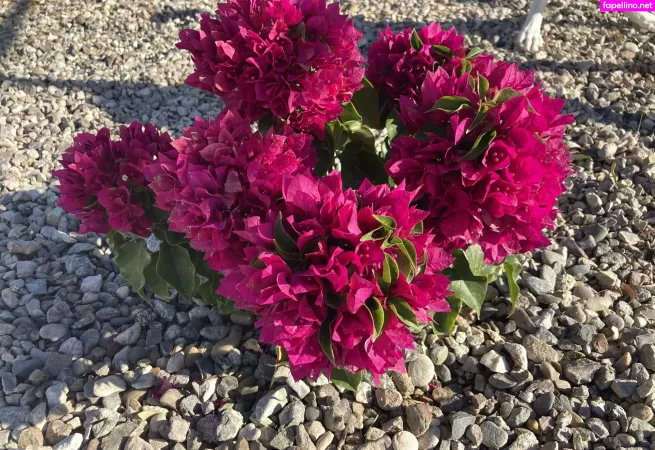 Luxxxstone OnlyFans Thumbnail #qTCmIOzrri