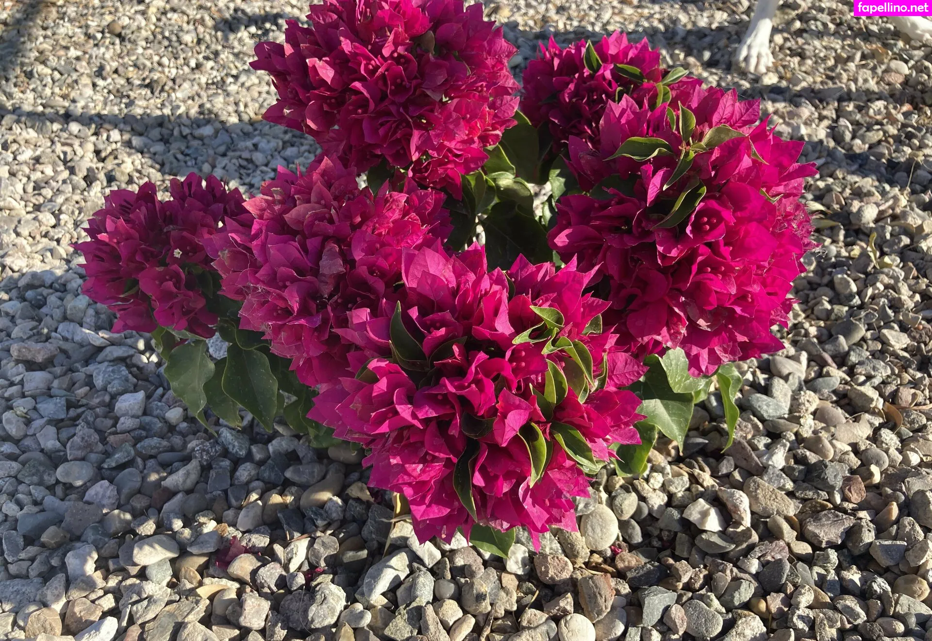 luxstonemiami, luxxxstone Nude Leaked OnlyFans Photo #qTCmIOzrri