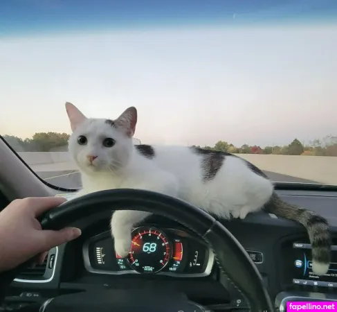 Lydsoftiktok OnlyFans Thumbnail #aJ8Lv9NsN3