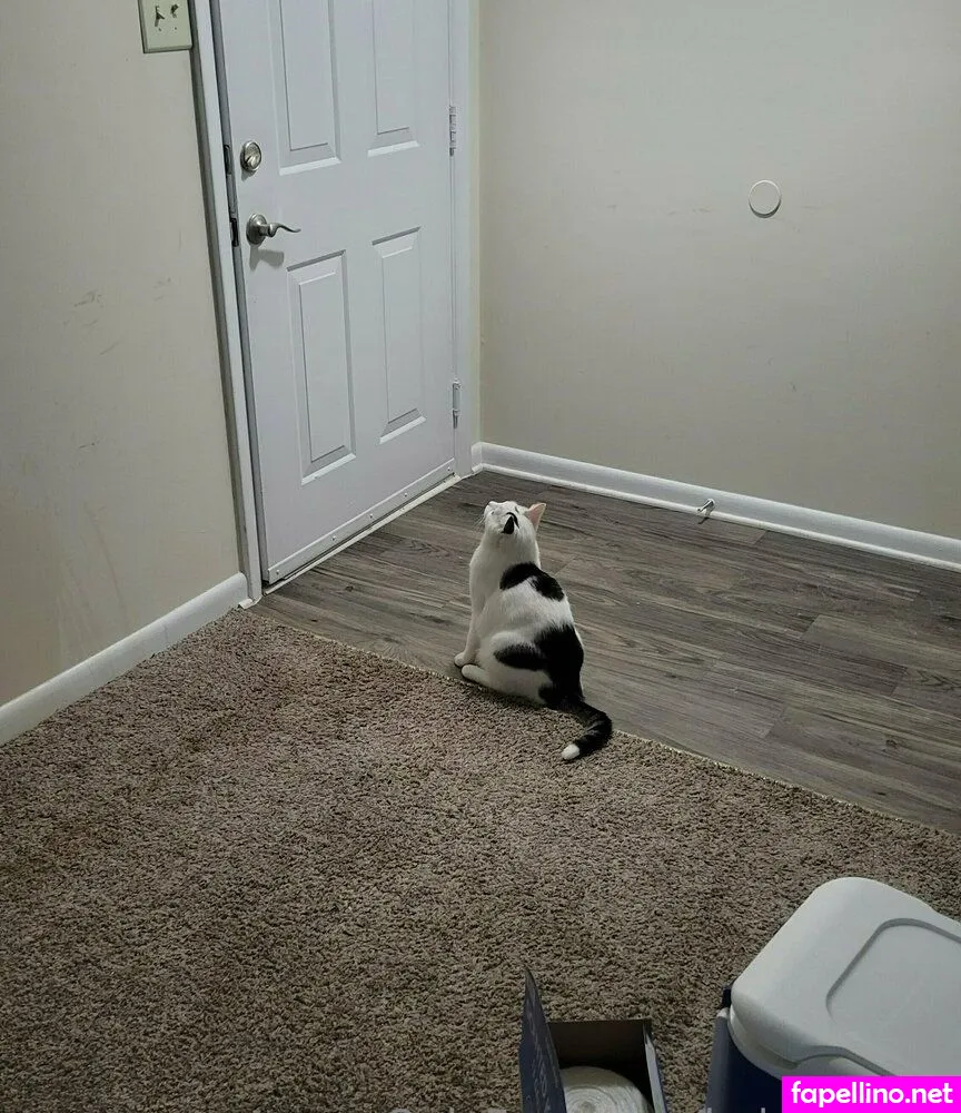 lydsoftiktok Nude Leaked OnlyFans Photo #blti2V4d7Q