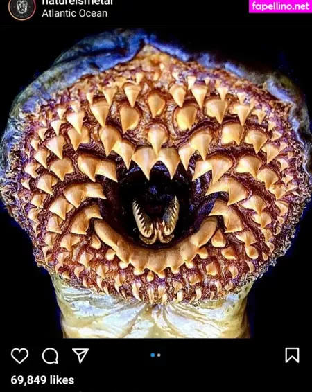 M1ss Ems OnlyFans Thumbnail #xWP4ctrxCt