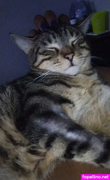 Madam Bats OnlyFans Thumbnail #4jAWyR9uCD