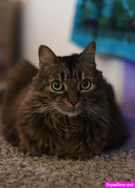 Maddikittiii OnlyFans Thumbnail #JnyJHJLx8H