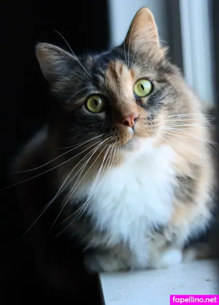 Maddikittiii OnlyFans Thumbnail #cJrEVRy0sn