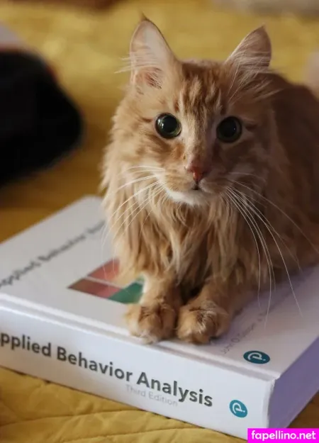 Maddikittiii OnlyFans Thumbnail #jcdM5t52Ja