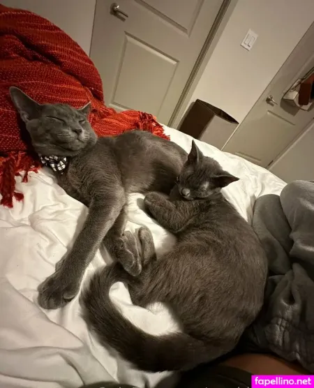 Maddylovings OnlyFans Thumbnail #5mZClGRhKk