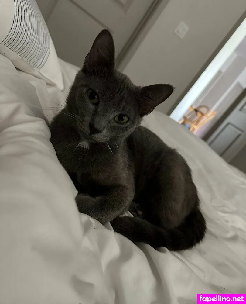 Maddy, maddylovings, madisonloving Nude Leaked OnlyFans Photo #9aXlSeAwqN