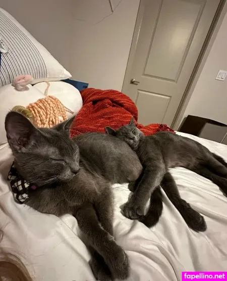 Maddylovings OnlyFans Thumbnail #SFCV85qzZR