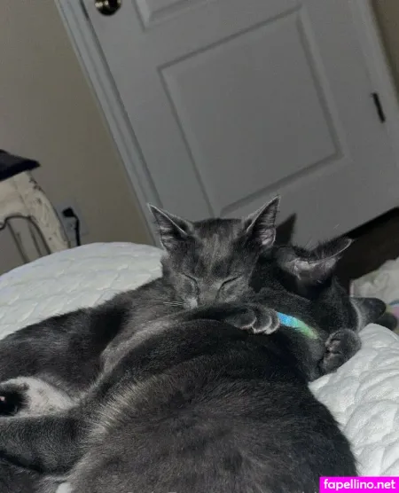 Maddylovings OnlyFans Thumbnail #yggFXEOGMZ