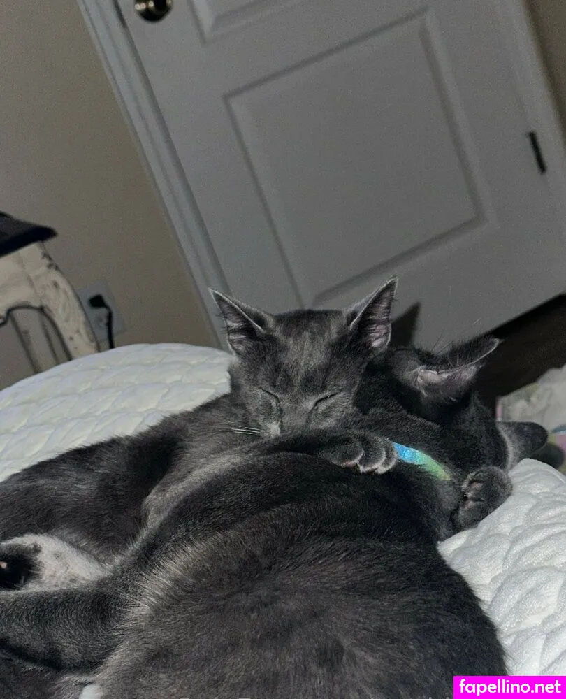 Maddy, maddylovings, madisonloving Nude Leaked OnlyFans Photo #yggFXEOGMZ