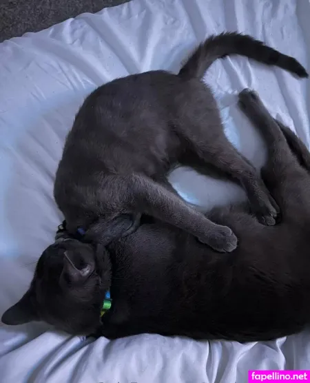 Maddylovings OnlyFans Thumbnail #zR2RJiWSuE