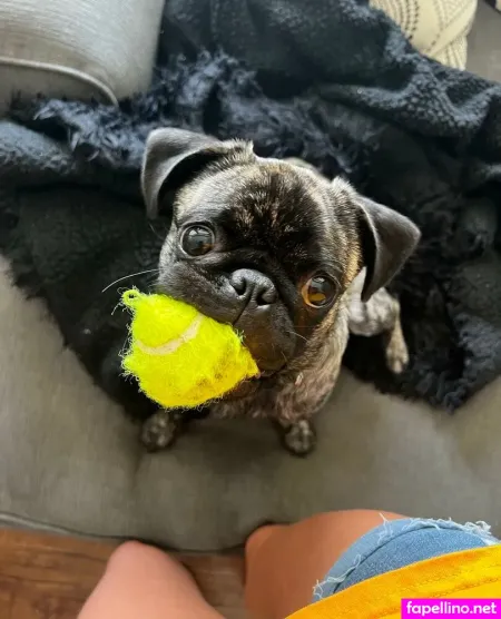 Maddyspremium OnlyFans Thumbnail #ZPrWhSsrbK