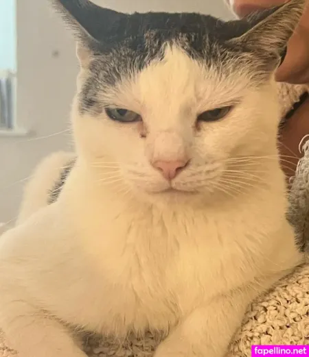 Madyson OnlyFans Thumbnail #cEUW0Mc1ST