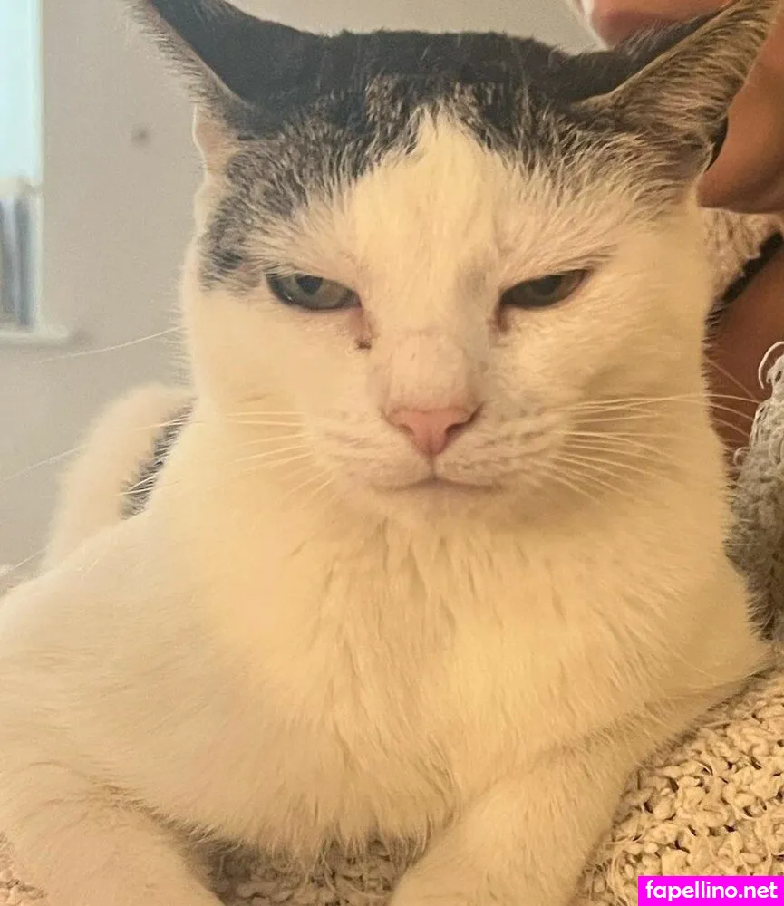 Madyson.2.0, madyson2.0 Nude Leaked OnlyFans Photo #cEUW0Mc1ST