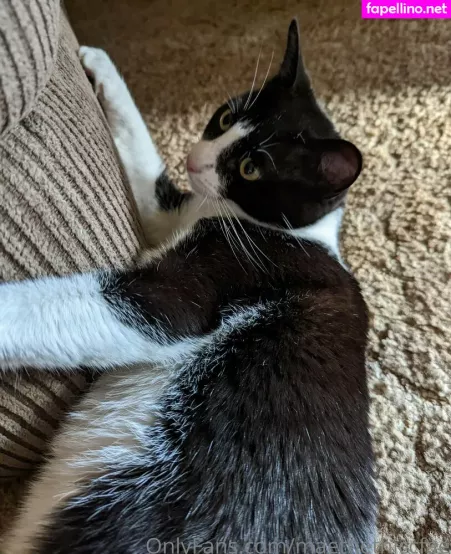 Maethethiccfae OnlyFans Thumbnail #II34e9YBFI