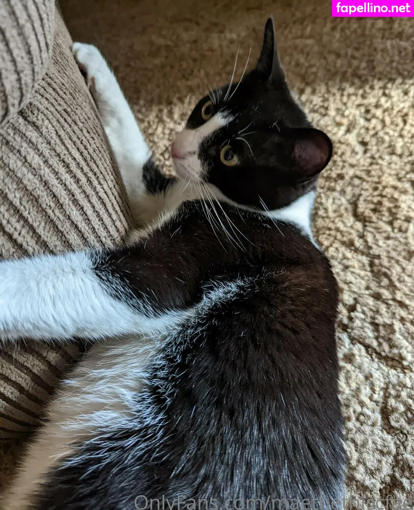 ktmaesec, maethethiccfae Nude Leaked OnlyFans Photo #II34e9YBFI